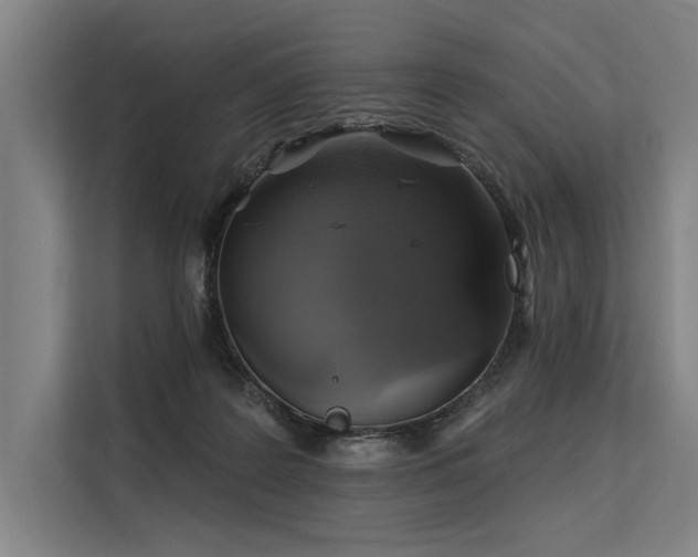 X0000113570219200909181253
