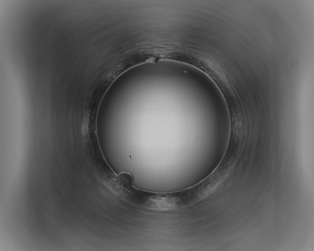 X0000113570221200909181253