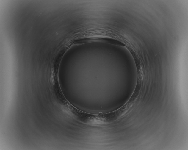 X0000113570223200909181253