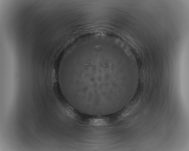 X0000113570224200909181253