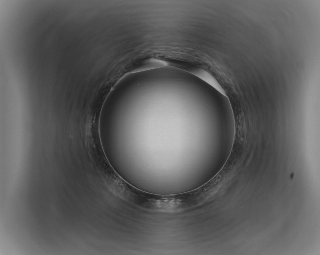 X0000113570225200909181253
