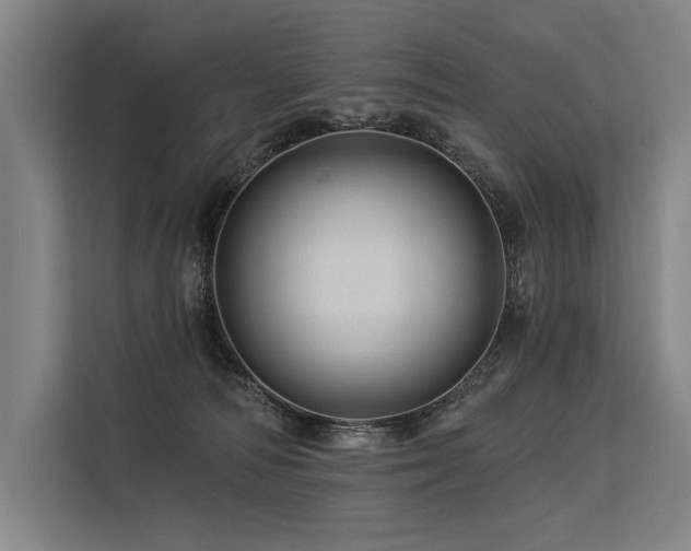 X0000113570226200909181253