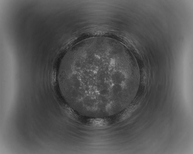 X0000113570230200909181253
