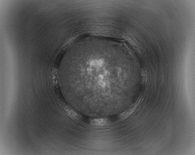 X0000113570237200909181253