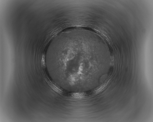 X0000113570238200909181253