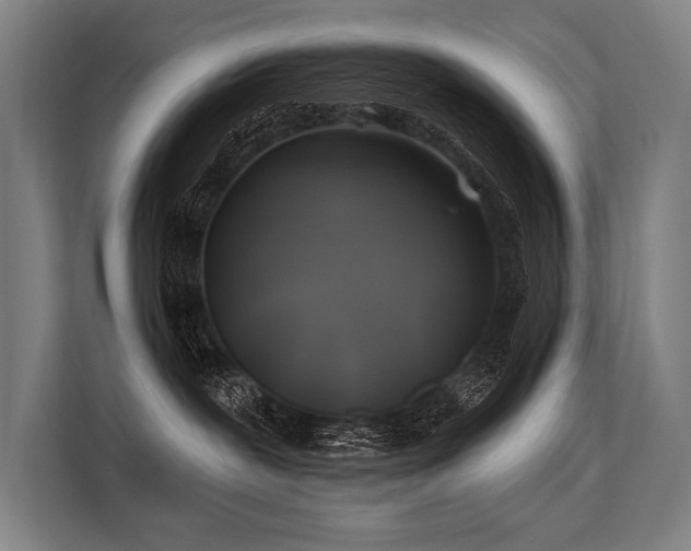 X0000113570239200909181253