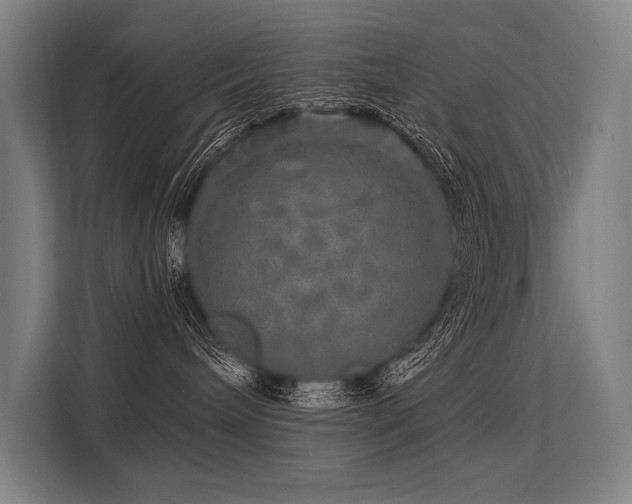 X0000113570240200909181253