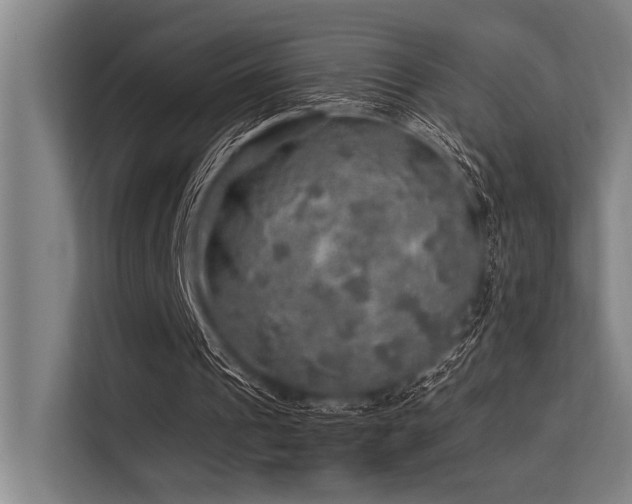 X0000113570241200909181253