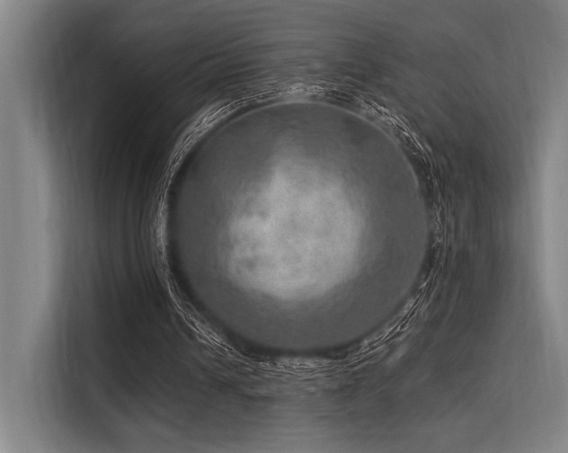 X0000113570242200909181253