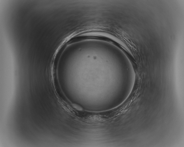 X0000113570244200909181253
