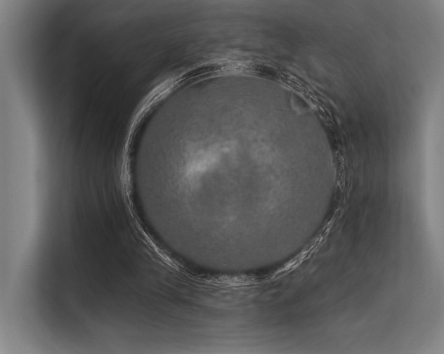 X0000113570245200909181253