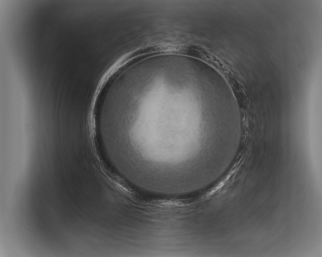 X0000113570246200909181253