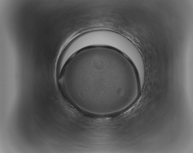 X0000113570248200909181253