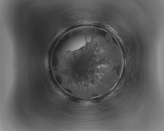 X0000113570249200909181253