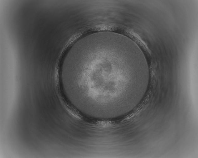 X0000113570250200909181253