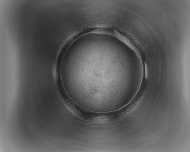 X0000113570252200909181253