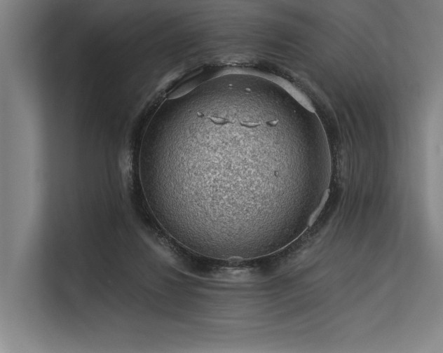 X0000113570260200909181253