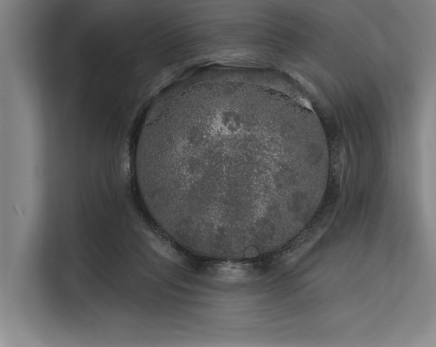 X0000113570261200909181253