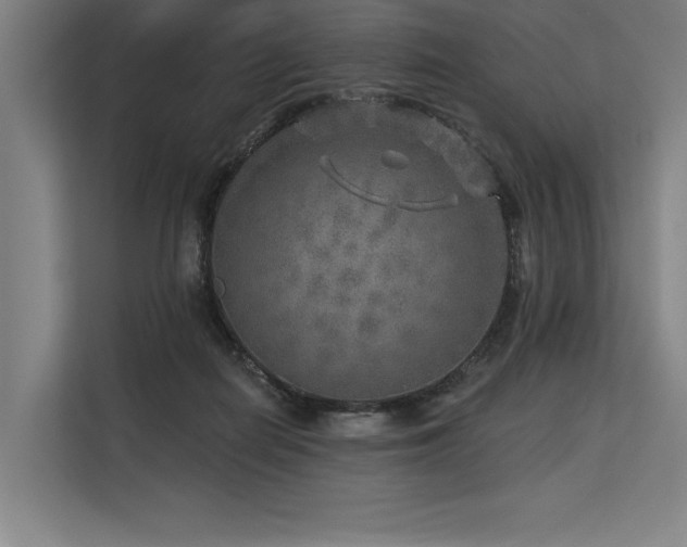 X0000113570266200909181253