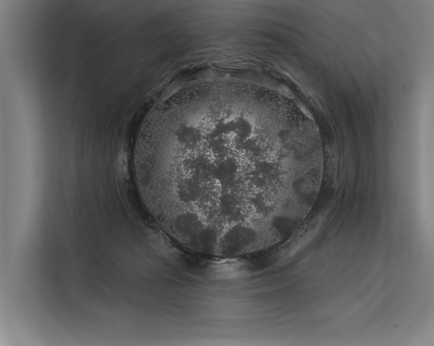 X0000113570269200909181253