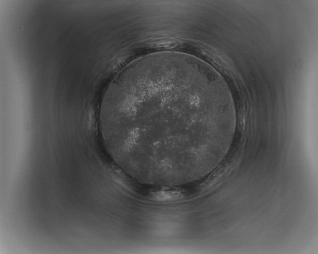 X0000113570270200909181253
