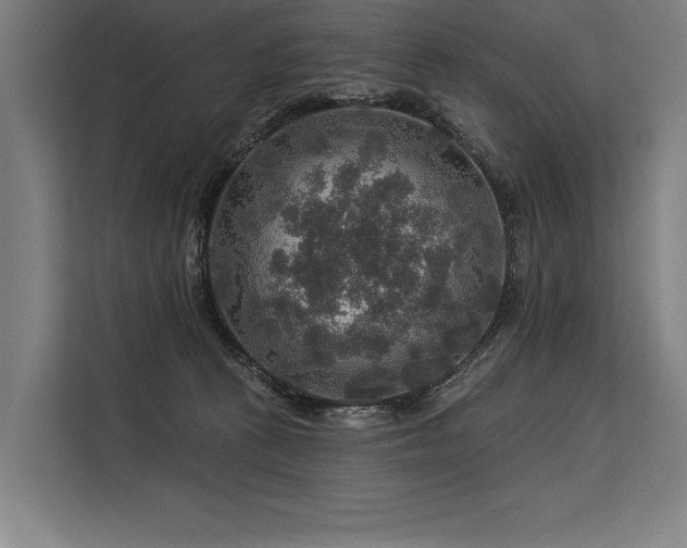 X0000113570273200909181253