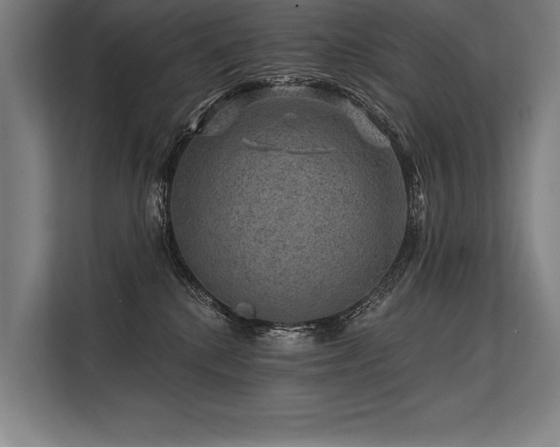 X0000113570280200909181253