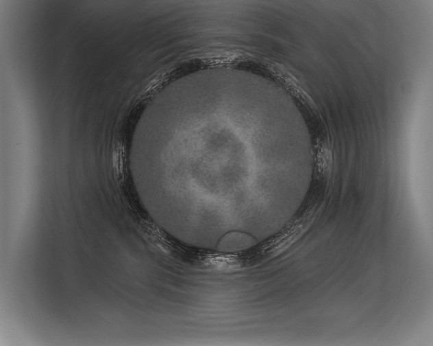 X0000113570283200909181253