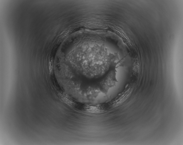 X0000113570285200909181253