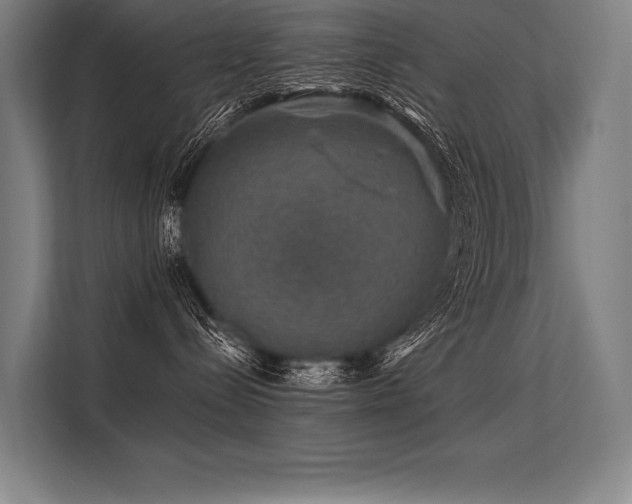 X0000113570288200909181253