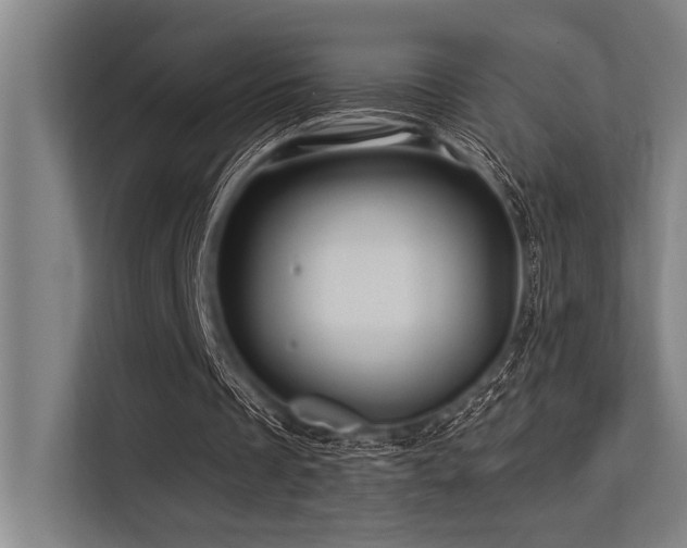 X0000113570289200909181253