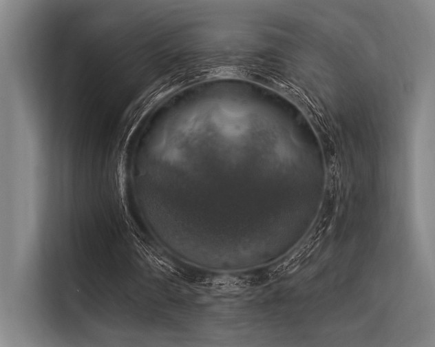 X0000113570290200909181253