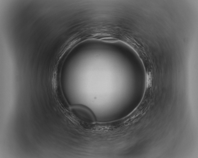 X0000113570291200909181253
