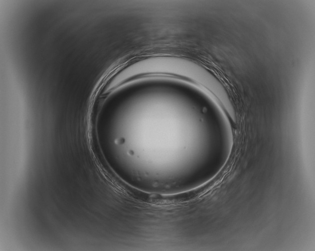 X0000113570293200909181253