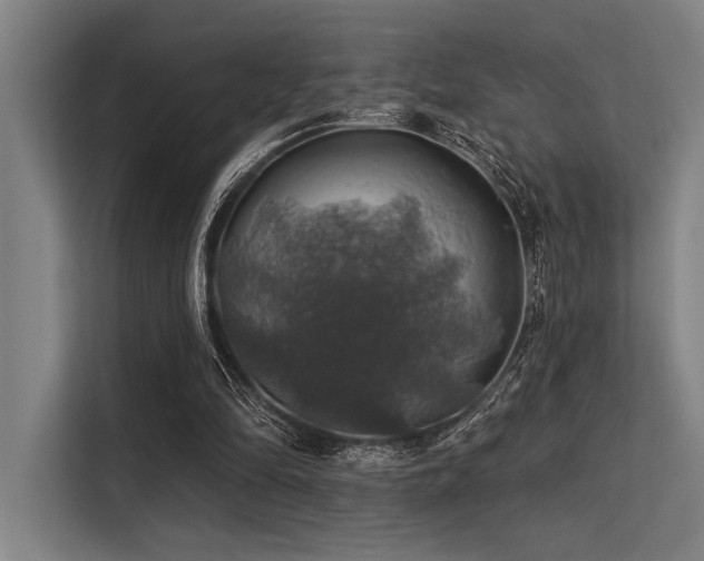 X0000113570294200909181253