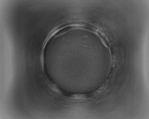X0000113570296200909181252