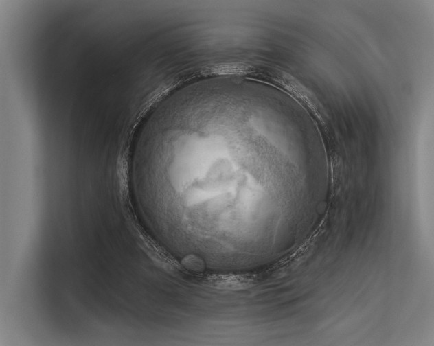 X0000113570297200909181252