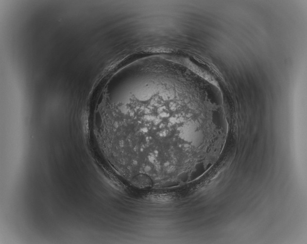 X0000113570299200909181252