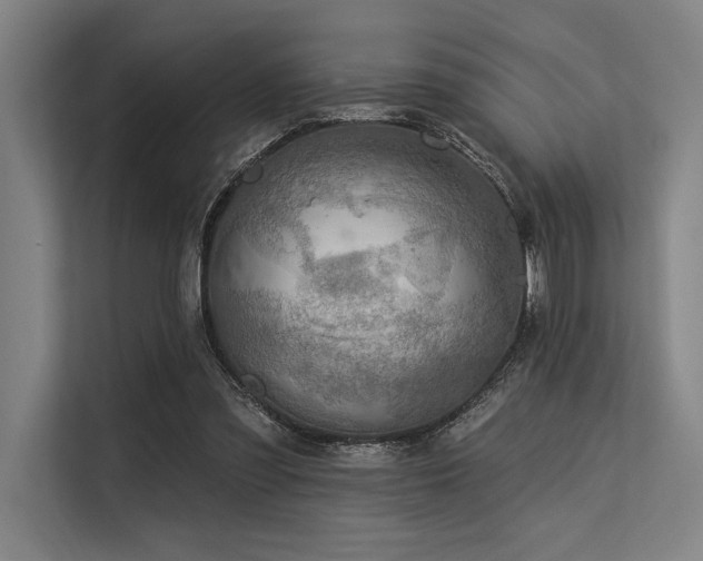 X0000113570301200909181252