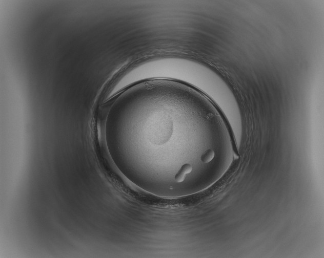 X0000113570304200909181252