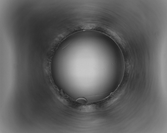 X0000113570307200909181252
