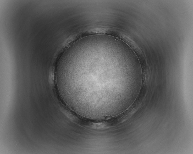 X0000113570309200909181252