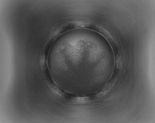 X0000113570314200909181252