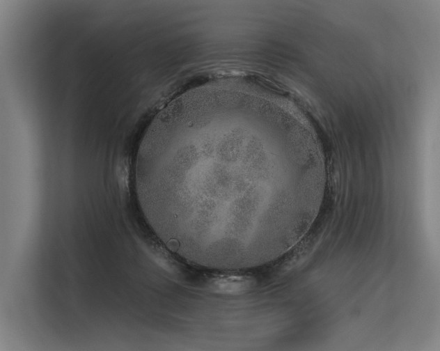 X0000113570315200909181252