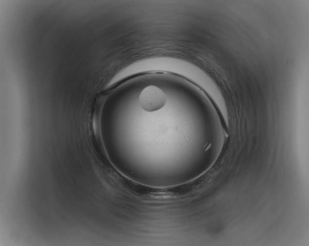 X0000113570316200909181252