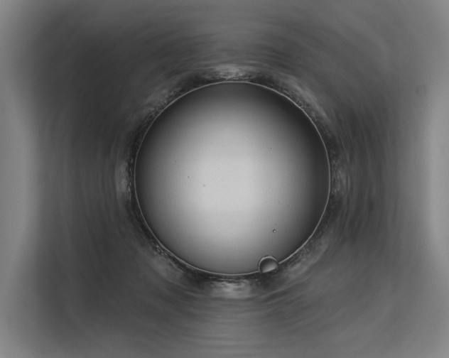 X0000113570317200909181252