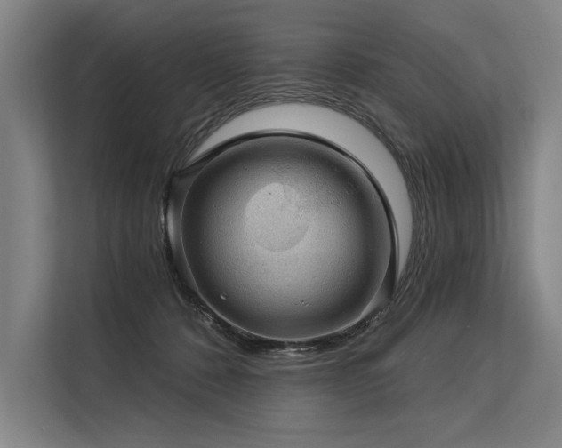 X0000113570320200909181252