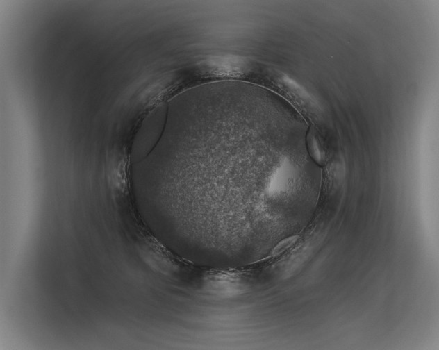 X0000113570325200909181252