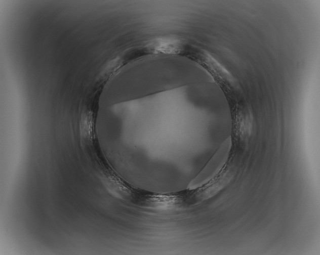 X0000113570328200909181252