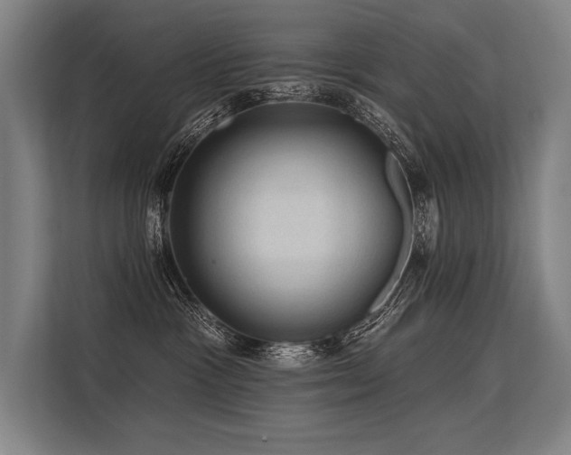 X0000113570333200909181252